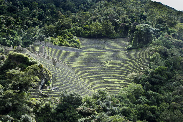 Incas terrasses