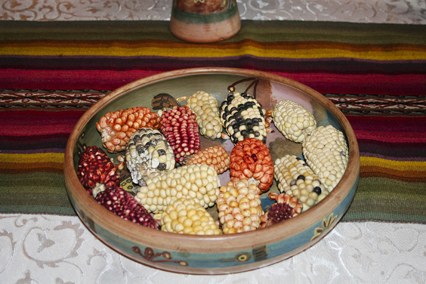 Variétés maïs