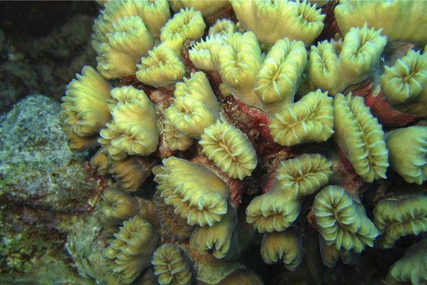 Bonaire 4