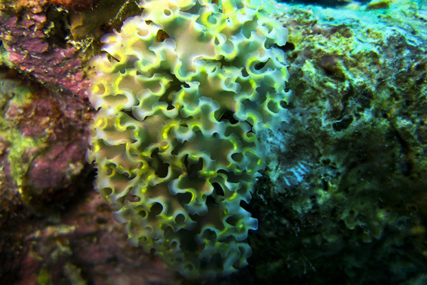 Bonaire 6