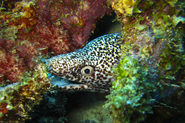 Bonaire 8