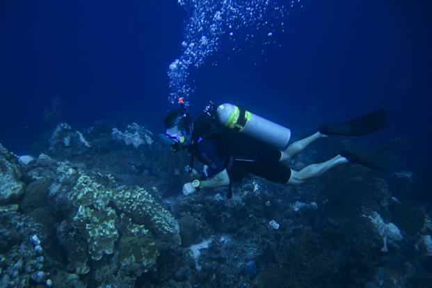 Bonaire 10