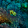 Bonaire 1