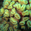 Bonaire 4