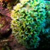 Bonaire 6