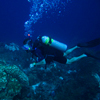 Bonaire 10
