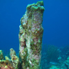 Bonaire 11