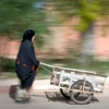 Maroc femme et brouette